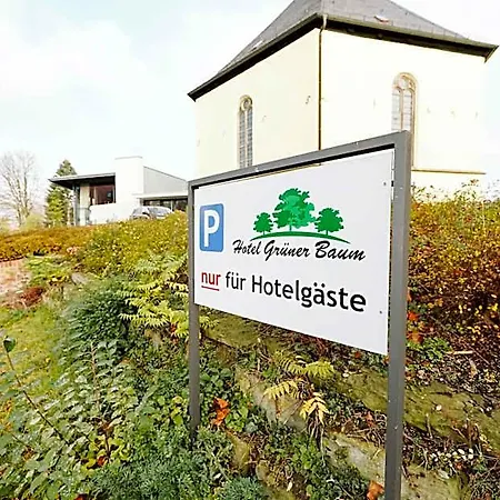 Gruener Baum Hamm (North Rhine-Westphalia)